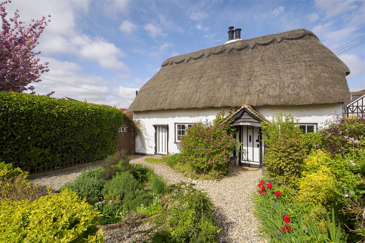 Thatch Cottage Image