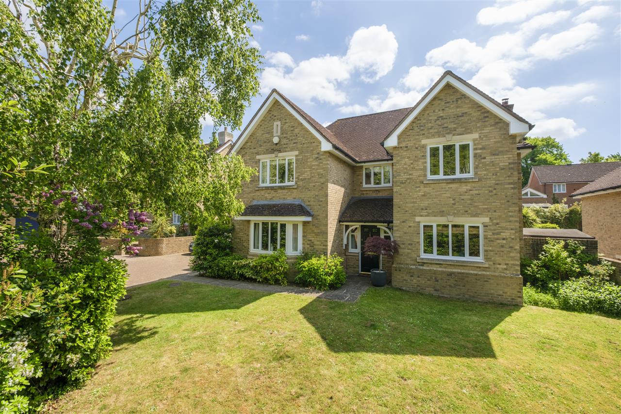42 Beech Avenue Image