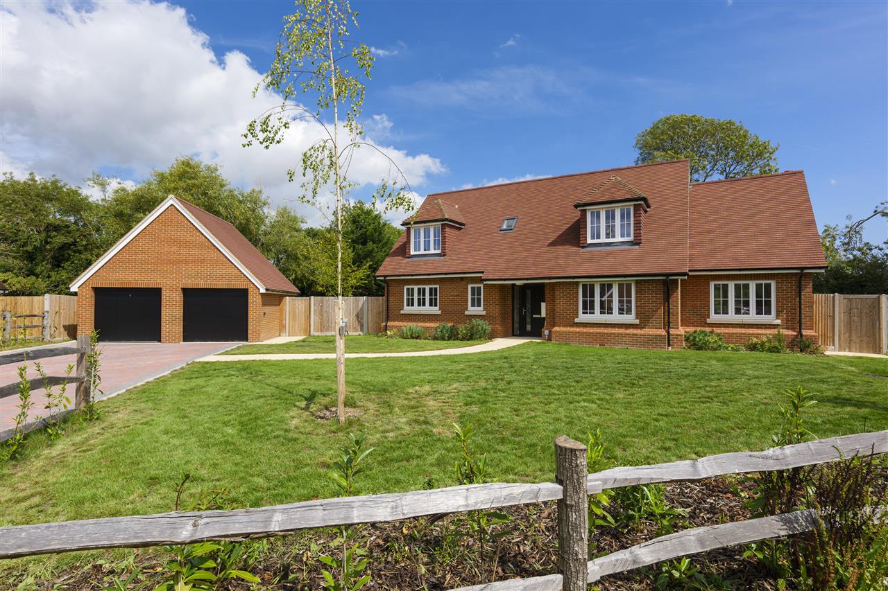 Aspen, Tenterden Road Image